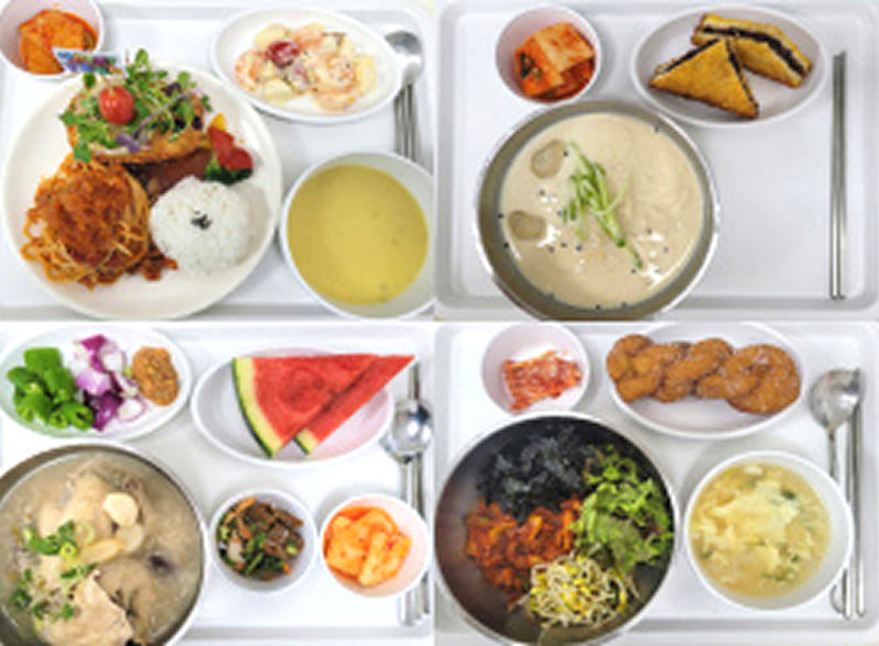 고단백 영양 관리